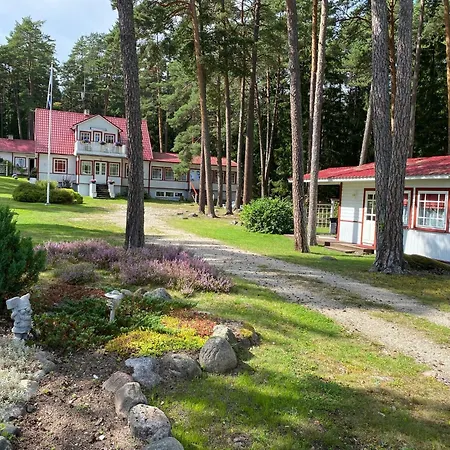 Sinisalu *