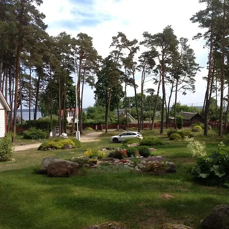 Sinisalu *