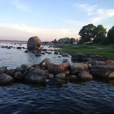 Sinisalu *